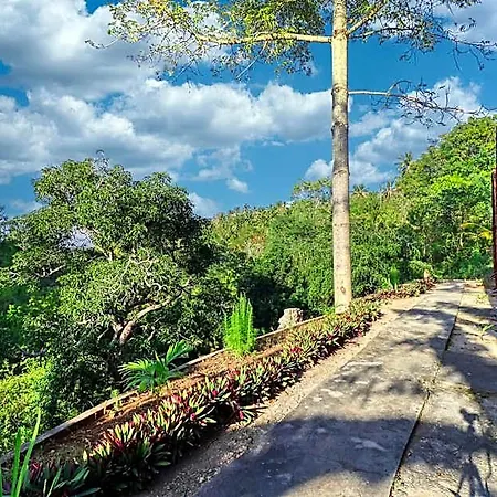 Butterfly Bungalows